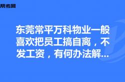 亿展物业工资怎么样(北京亿展物业总经理简介)