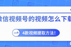 微拍视频号是什么(拍微信视频号有钱吗)