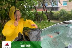 遭遇台风物业该做什么(物业应对台风)