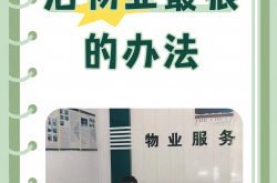 什么是物业专业服务(专业的物业有什么样的服务)