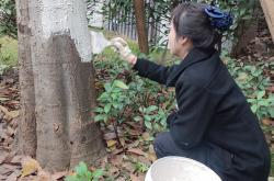 物业防冻怎么做(物业公司防冻防寒预防措施)