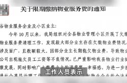 拖欠物业费怎么办(拖欠物业费是什么案由)