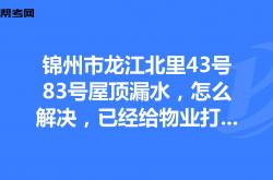 漏水物业证明怎么写(漏水物业证明怎么写模板)