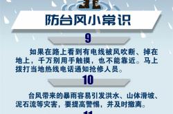 物业台风前应该做什么(物业台风前应该做什么准备)
